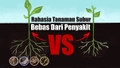 featured image thumbnail for post Rahasia Tanaman Subur:Cara Memilih Bibit yang Berkualitas